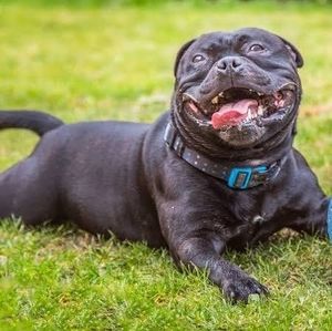 Meet your Posher, Danny